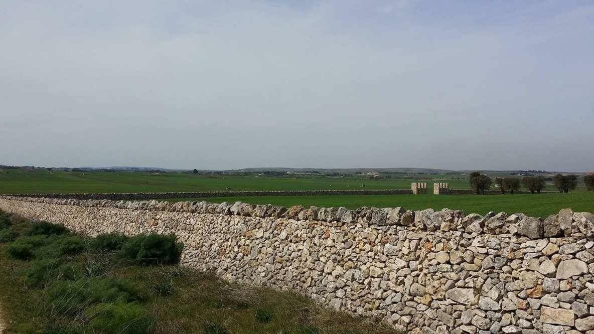 Bed and Breakfast Masseria Conti Filo Altamura Exterior foto