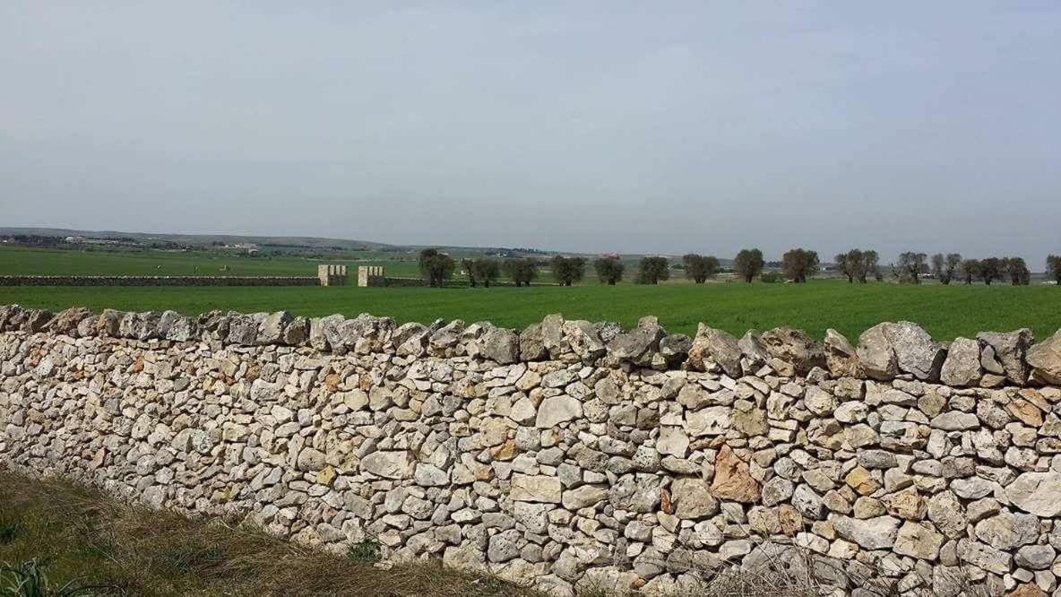 Bed and Breakfast Masseria Conti Filo Altamura Exterior foto