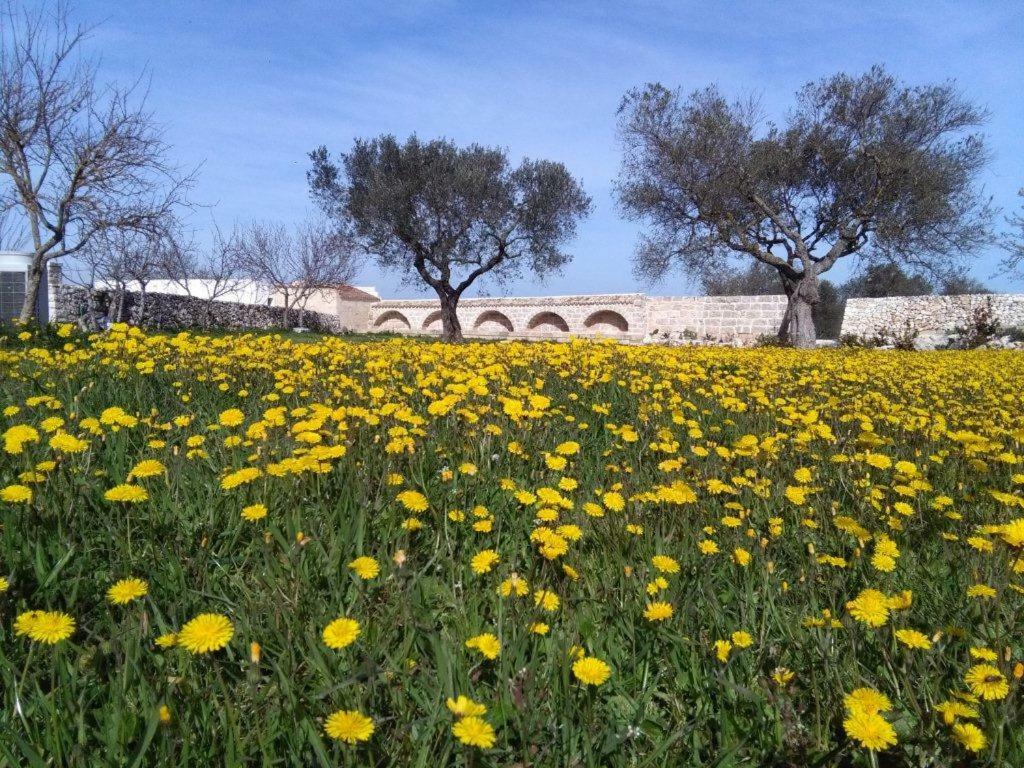 Bed and Breakfast Masseria Conti Filo Altamura Exterior foto