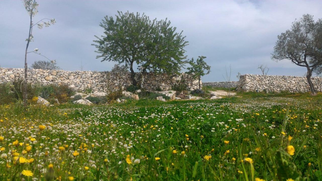 Bed and Breakfast Masseria Conti Filo Altamura Exterior foto