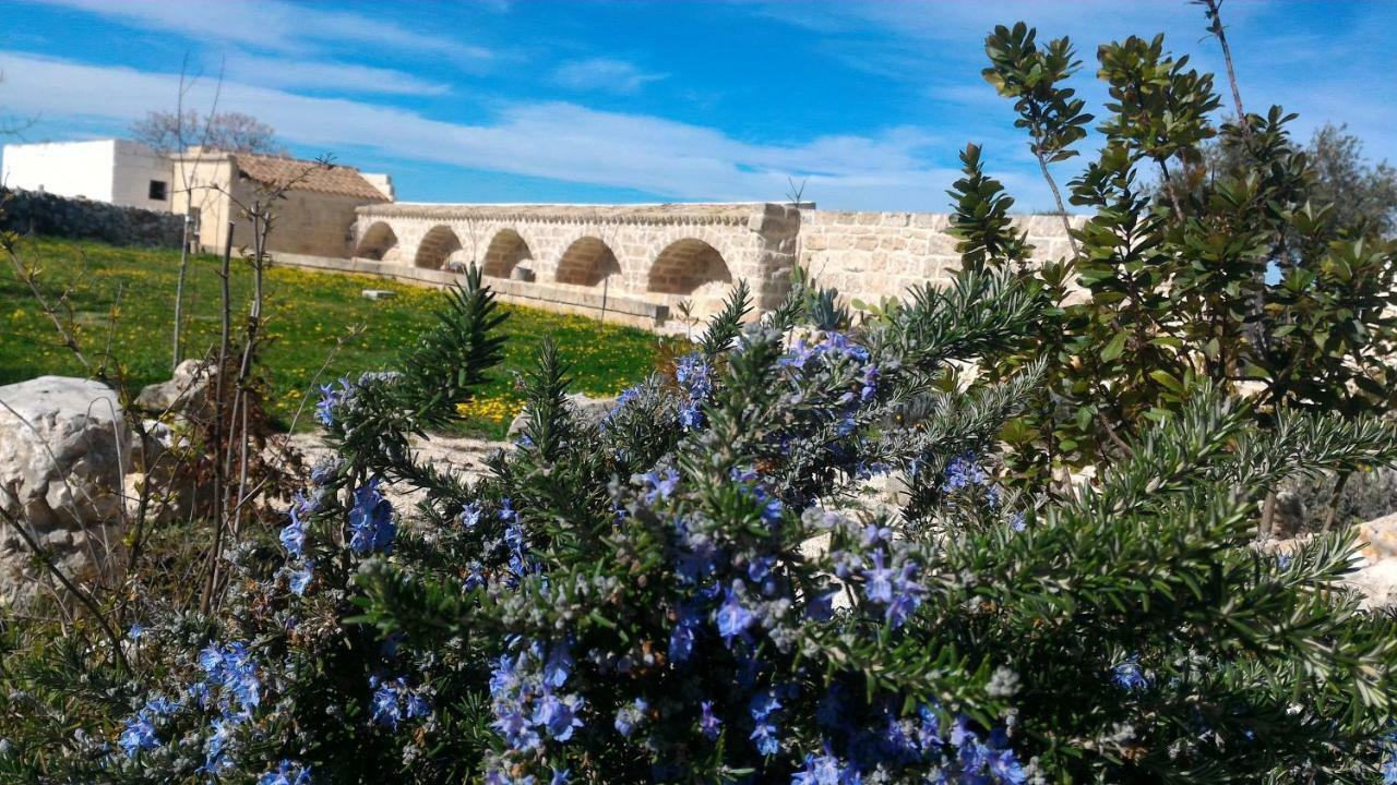 Bed and Breakfast Masseria Conti Filo Altamura Exterior foto