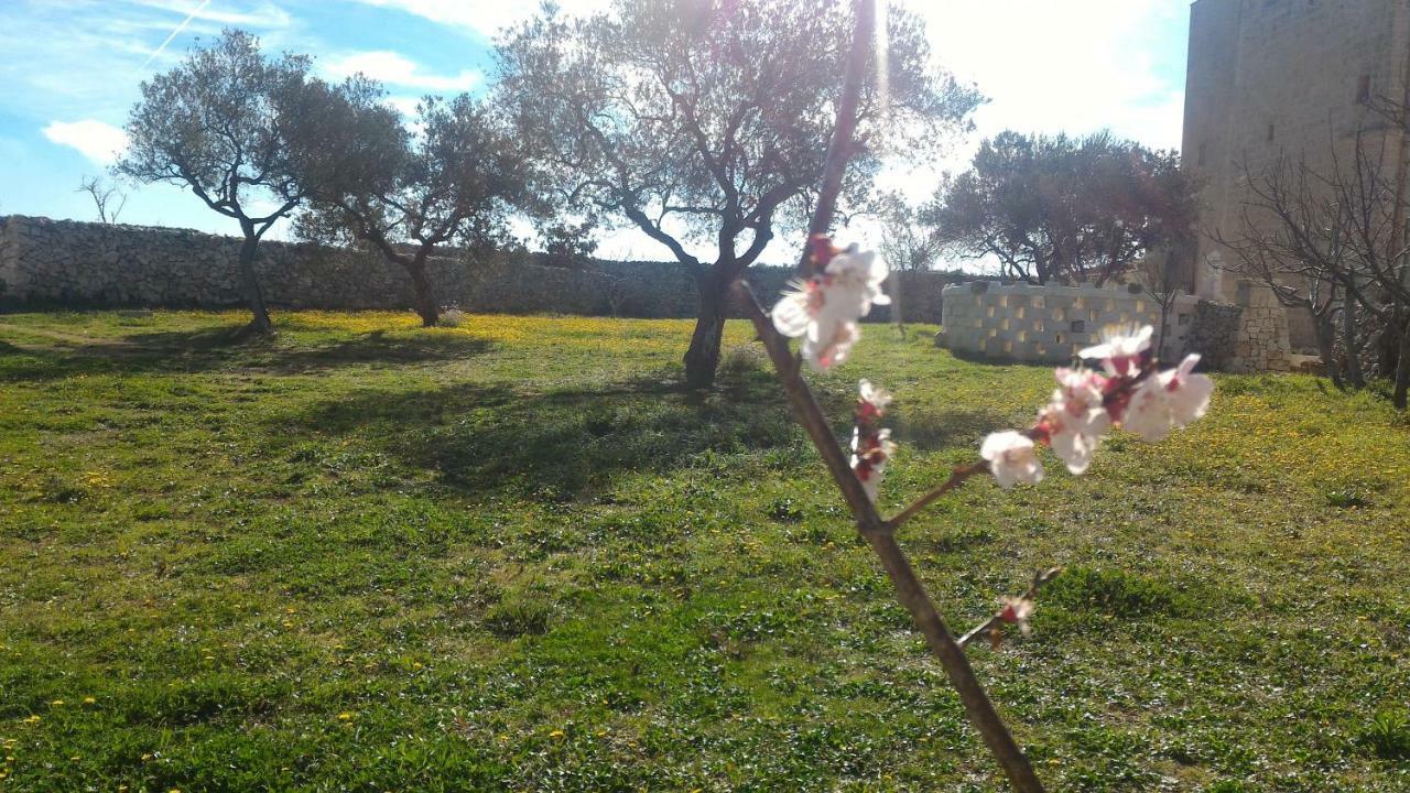 Bed and Breakfast Masseria Conti Filo Altamura Exterior foto